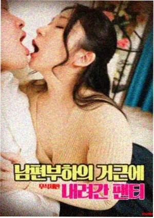 改革题材剧集封面